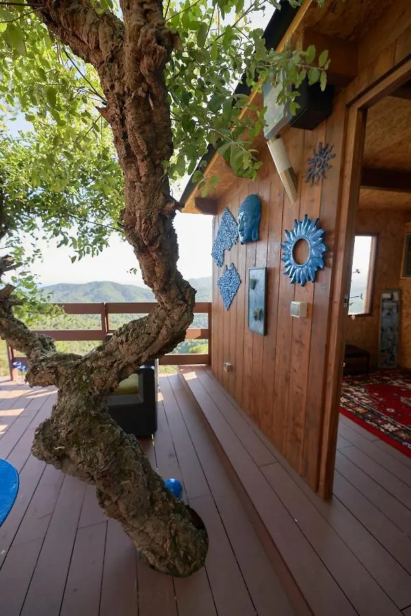 Chalet Domo Art & Spa Palafolls Spain